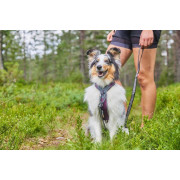 Шлейка для собак Non-stop dogwear, Line harness, фиолетовая - фото 2