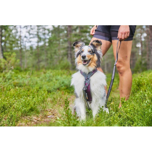 Шлейка для собак Non-stop dogwear, Line harness, фіолетова