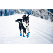 Ботинки для собак Non-stop dogwear Long Distance Bootie, синие - фото 3