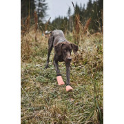 Защитные носки для собак Non-stop dogwear Protector Light Socks, оранжевые - фото 2