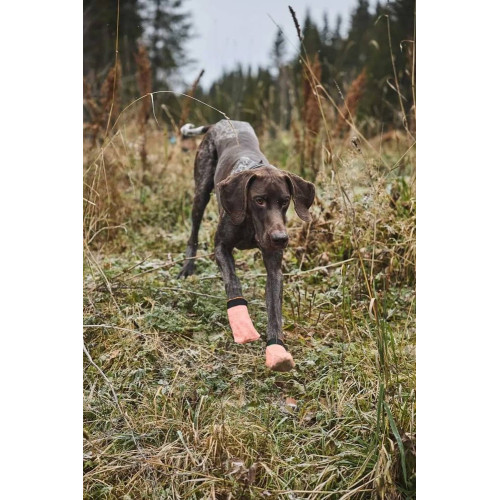 Защитные носки для собак Non-stop dogwear Protector Light Socks, оранжевые - фото 2