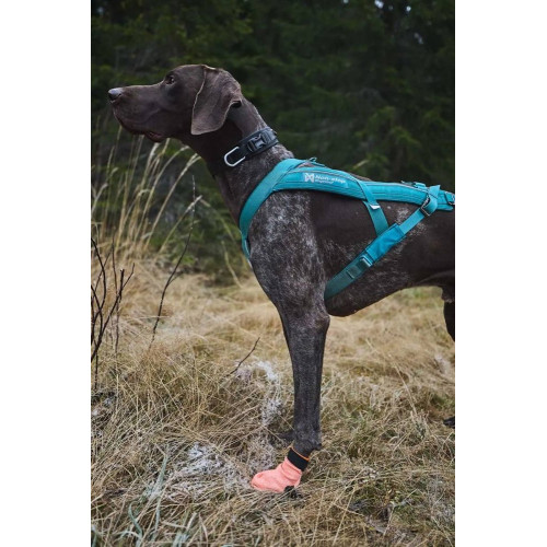 Защитные носки для собак Non-stop dogwear Protector Light Socks, оранжевые - фото 7