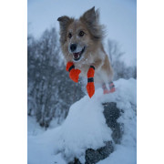 Высокие ботинки для собак Non-stop dogwear Contact Bootie High, оранжевые - фото 3