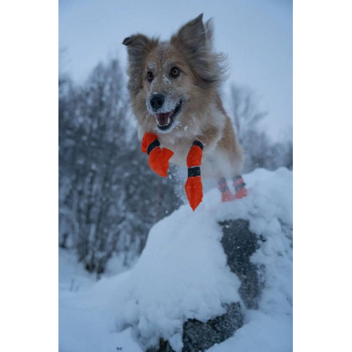 Высокие ботинки для собак Non-stop dogwear Contact Bootie High, оранжевые - фото 3