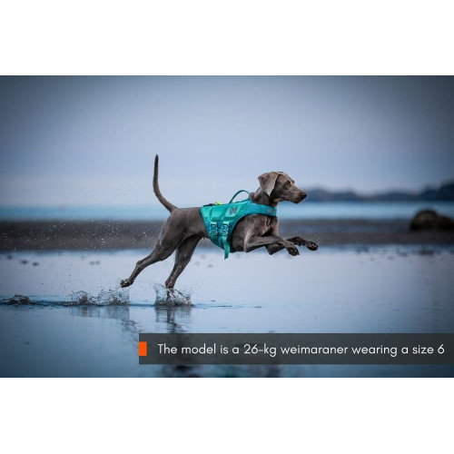 Рятувальний жилет для собак Non-stop dogwear Protector Life Jacket, бірюзовий - фото 3