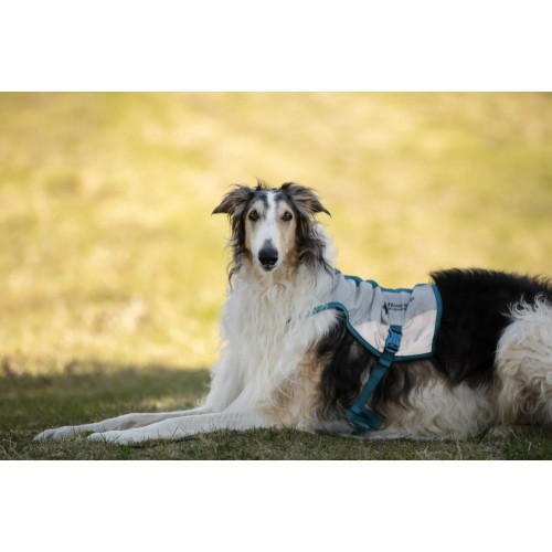 Охлаждающий жилет для собак Non-stop dogwear Cooling Vest, серый - фото 4
