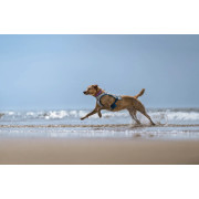 Охлаждающий жилет для собак Non-stop dogwear Cooling Vest, серый - фото 6