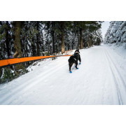 Амортизаційний повідець для собак Non-stop dogwear Bungee Leash, чорно-помаранчевий - фото 2