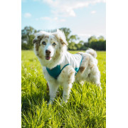 Охолоджувальний жилет для собак Non-stop dogwear Cooling Pull-On Vest, сіро-блакитний - фото 2