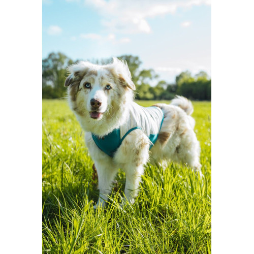 Охолоджувальний жилет для собак Non-stop dogwear Cooling Pull-On Vest, сіро-блакитний - фото 2