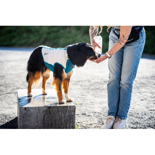 Охолоджувальний жилет для собак Non-stop dogwear Cooling Pull-On Vest, сіро-блакитний - фото 4