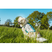 Охолоджувальний жилет для собак Non-stop dogwear Cooling Pull-On Vest, сіро-блакитний - фото 6