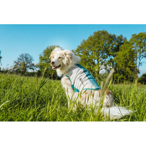 Охолоджувальний жилет для собак Non-stop dogwear Cooling Pull-On Vest, сіро-блакитний - фото 6