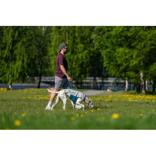 Охолоджувальний жилет для собак Non-stop dogwear Cooling Pull-On Vest, сіро-блакитний - фото 7
