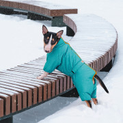 Зимовий комбінезон для собак COLD бірюзового кольору - фото 2