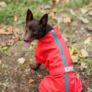 Дождевик для собак PF RAIN красного цвета - фото 4
