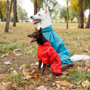 Дождевик для собак PF RAIN бирюзового цвета - фото 4