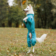 Дождевик для собак PF RAIN бирюзового цвета - фото 5