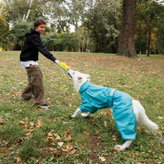 Дождевик для собак PF RAIN бирюзового цвета - фото 7