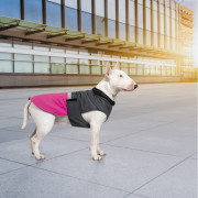 Попона Pet Fashion Roy для собак малиново-серая - фото 7