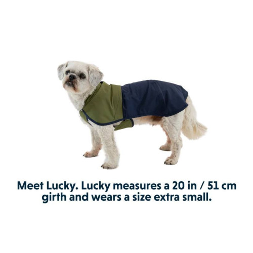 Дождевик для собак Ruffwear Sun Shower™, сине-оливковый - фото 2