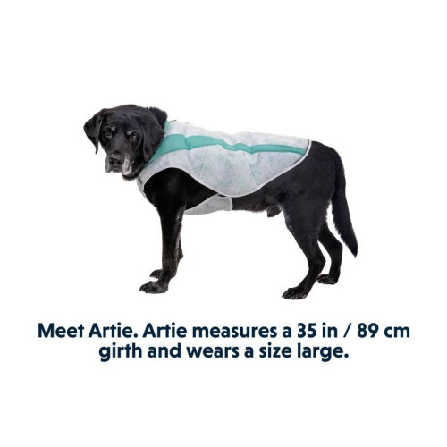 Охолоджувальна попона для собак Ruffwear Swamp Cooler™, зелена - фото 3