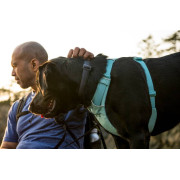 Ошейник для собак Ruffwear, Front Range, серый - фото 6