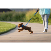 Нашийник для собак Ruffwear, Front Range™, синій - фото 6