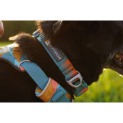 Нашийник для собак Ruffwear, Front Range™, оранжево-сірий - фото 4