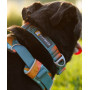 Нашийник для собак Ruffwear, Front Range™, оранжево-сірий