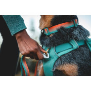 Нашийник для собак Ruffwear, Front Range™, оранжево-сірий - фото 6