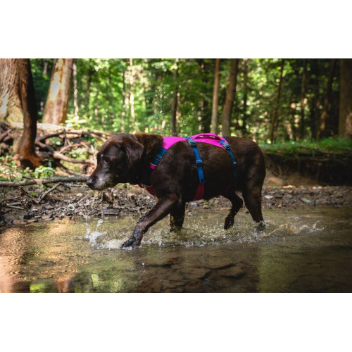 Шлейка для собак Ruffwear, Flagline, малинова