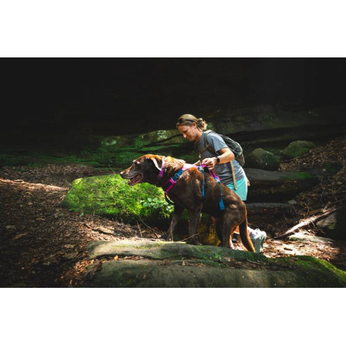 Шлейка для собак Ruffwear, Flagline, малинова