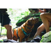 Шлейка для собак Ruffwear, Flagline™, сіра - фото 10