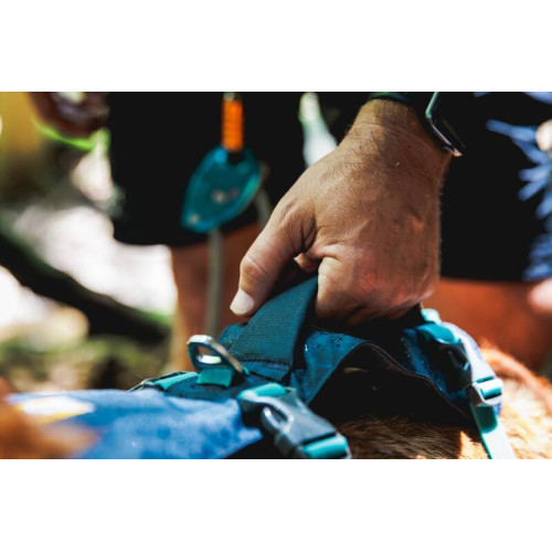 Шлейка для собак Ruffwear, Flagline™, сіра