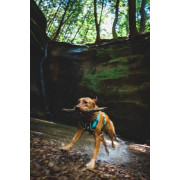 Шлейка для собак Ruffwear, Flagline™, сіра - фото 13