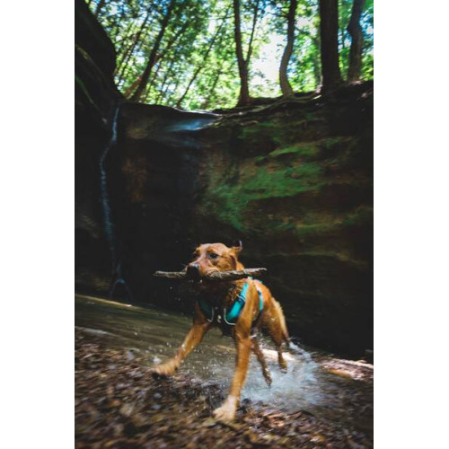 Шлейка для собак Ruffwear, Flagline™, сіра