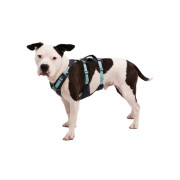 Шлейка для собак Ruffwear, Flagline™, сіра - фото 5