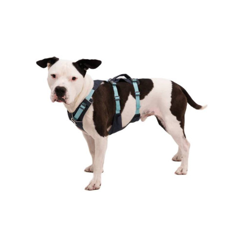 Шлейка для собак Ruffwear, Flagline™, сіра