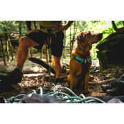 Шлейка для собак Ruffwear, Flagline™, сіра - фото 9