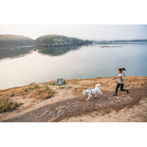 Шлейка для собак Ruffwear, Front Range®, сіра