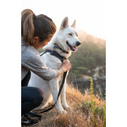 Шлейка для собак Ruffwear, Front Range®, серая - фото 14