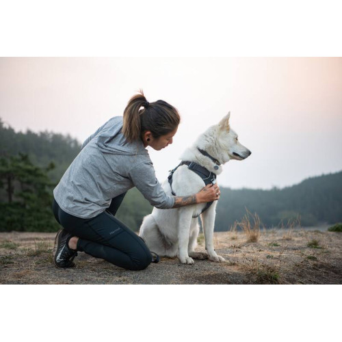 Шлейка для собак Ruffwear, Front Range®, сіра