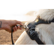 Шлейка для собак Ruffwear, Front Range®, серая - фото 17