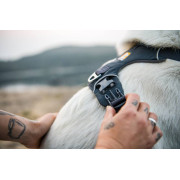 Шлейка для собак Ruffwear, Front Range®, серая - фото 19