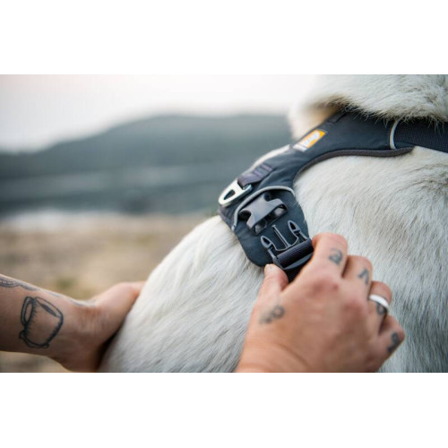 Шлейка для собак Ruffwear, Front Range®, сіра