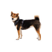 Шлейка для собак Ruffwear, Front Range®, серая - фото 6