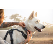 Шлейка для собак Ruffwear, Front Range®, серая - фото 9