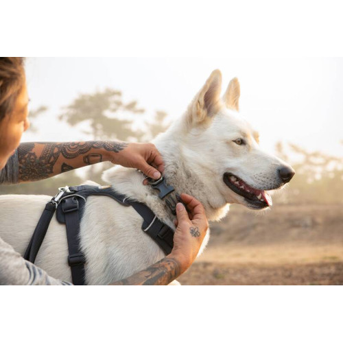 Шлейка для собак Ruffwear, Front Range®, сіра