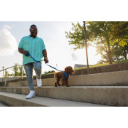 Шлейка для собак Ruffwear, Front Range®, синя - фото 10